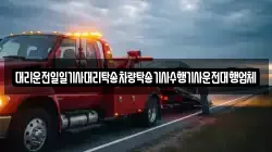 대리운전일일기사대리탁송차량탁송기사수행기사운전대행업체