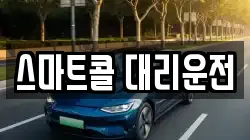 스마트콜 대리운전