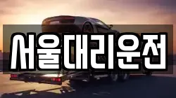 서울대리운전