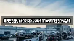 대리운전일일기사대리탁송차량탁송기사수행기사운전대행업체