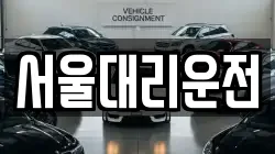 서울대리운전