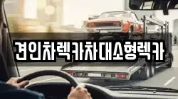 서울특별시 중구 필동2가 렉카, 특수렉카, 차량탁송, 견인운송
