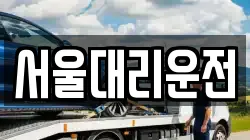 서울대리운전