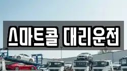 스마트콜 대리운전