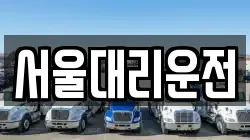 서울대리운전
