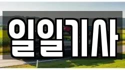 일일기사