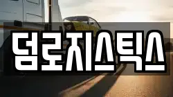 덤로지스틱스