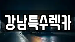 강남특수렉카
