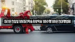 대리운전일일기사대리탁송차량탁송기사수행기사운전대행업체