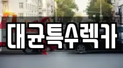 대균특수렉카