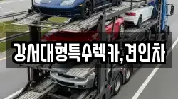 서울 강서구 오곡동 렉카, 특수렉카, 차량탁송, 견인운송