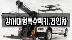 서울 강서구 오쇠동 렉카, 특수렉카, 차량탁송, 견인운송