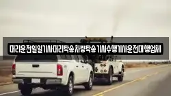 대리운전일일기사대리탁송차량탁송기사수행기사운전대행업체