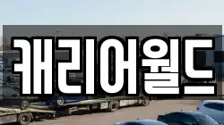 캐리어월드