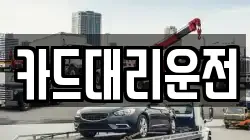 카드대리운전
