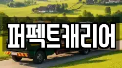 퍼펙트캐리어