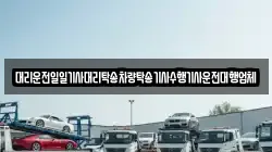 대리운전일일기사대리탁송차량탁송기사수행기사운전대행업체