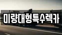 미량대형특수렉카