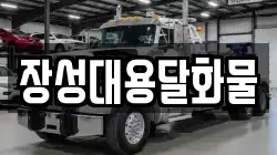 장성대용달화물