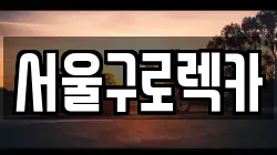 서울구로렉카
