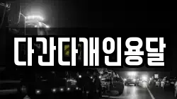 다간다개인용달