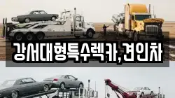 강서대형특수렉카,견인차