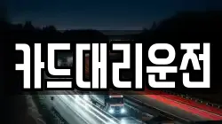 카드대리운전