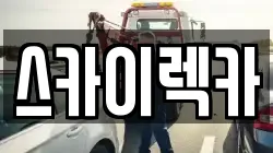 스카이렉카