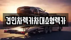 견인차렉카차대소형렉카