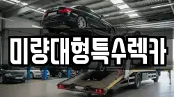 미량대형특수렉카