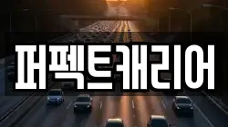 퍼펙트캐리어