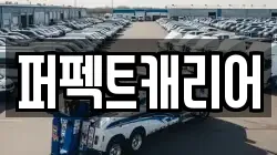 퍼펙트캐리어