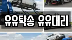 유유탁송 유유대리