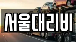 서울대리비