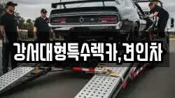 강서대형특수렉카,견인차