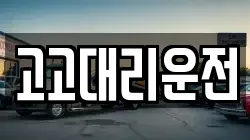 고고대리운전