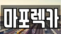 마포렉카
