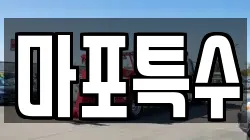 마포특수