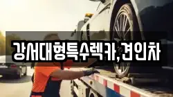 강서대형특수렉카,견인차