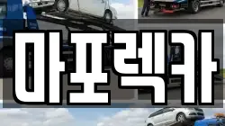 마포렉카