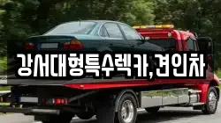 강서대형특수렉카,견인차
