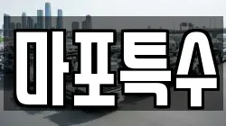마포특수
