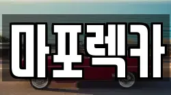 마포렉카
