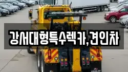 강서대형특수렉카,견인차