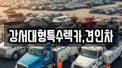 강서대형특수렉카,견인차