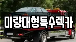 미량대형특수렉카