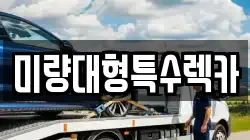 미량대형특수렉카