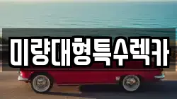 미량대형특수렉카