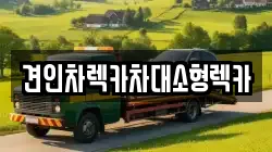 견인차렉카차대소형렉카
