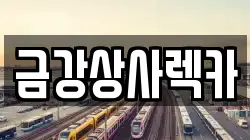 서울 성동구 송정동 렉카, 특수렉카, 차량탁송, 견인운송